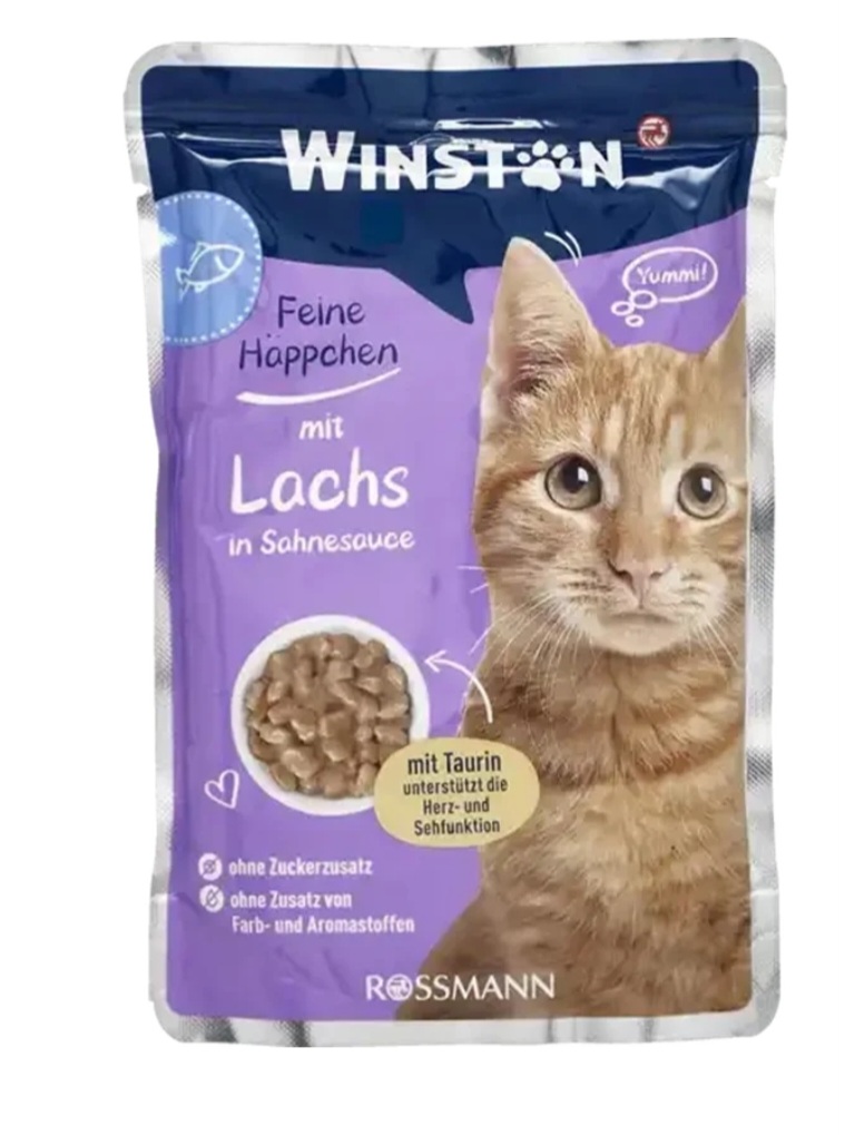 پوچ گربه وینستون